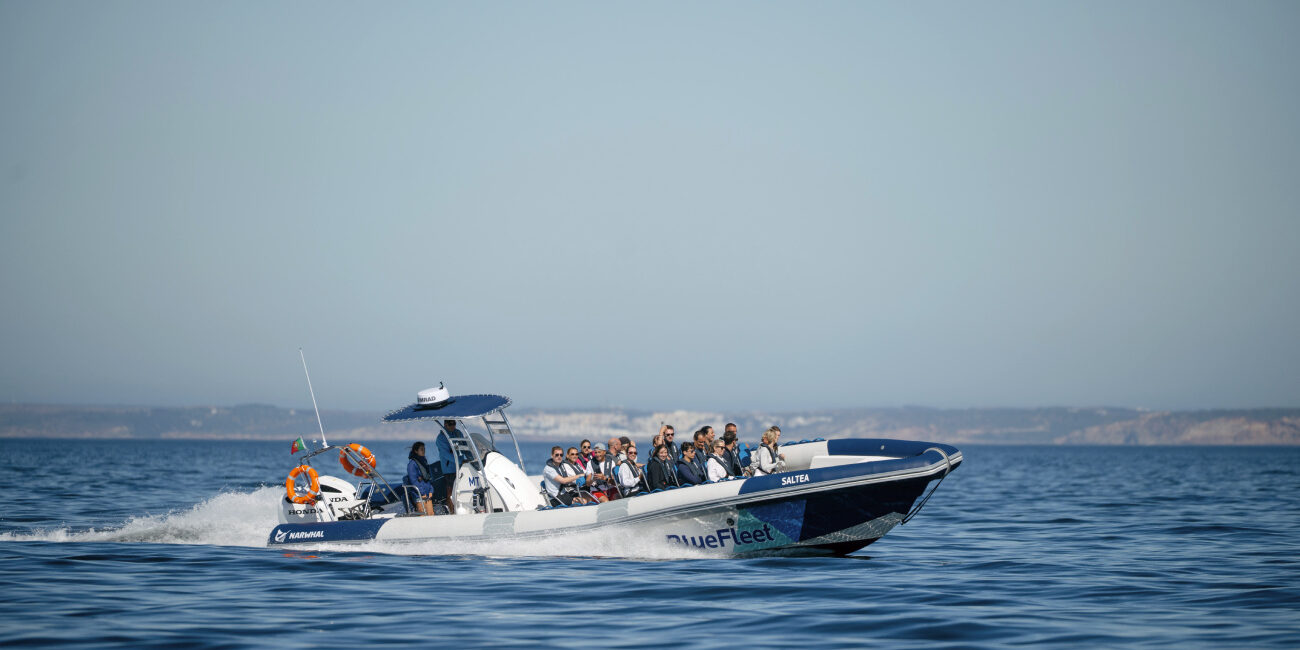 Dolphins swimming beside a RIB boat off Lagos