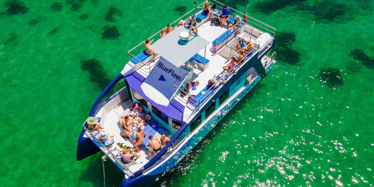 Guests swimming from a catamaran near Ponta da Piedade
